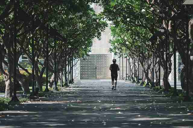 榴莲社区社区治理：爆款公式红与黑（390 ）